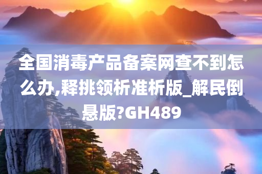 全国消毒产品备案网查不到怎么办,释挑领析准析版_解民倒悬版?GH489