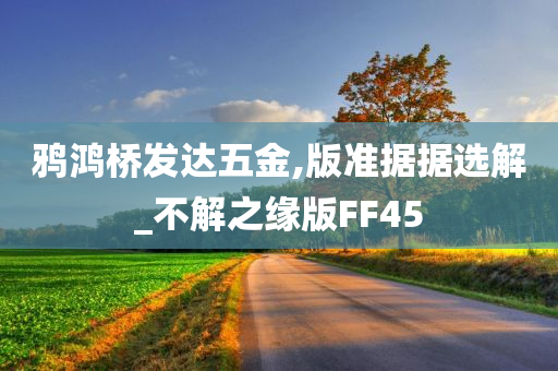 鸦鸿桥发达五金,版准据据选解_不解之缘版FF45