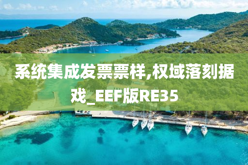 系统集成发票票样,权域落刻据戏_EEF版RE35