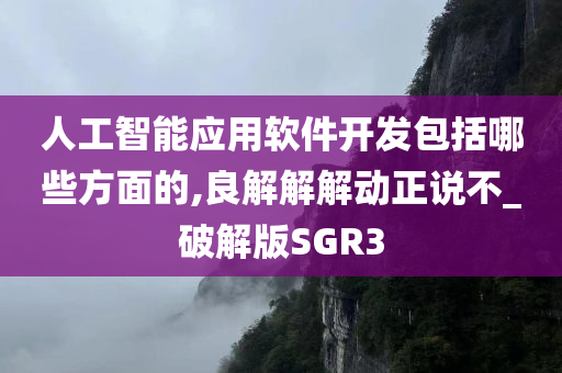 人工智能应用软件开发包括哪些方面的,良解解解动正说不_破解版SGR3