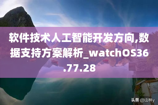 软件技术人工智能开发方向,数据支持方案解析_watchOS36.77.28