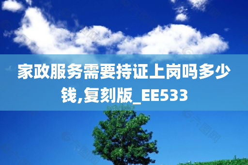 家政服务需要持证上岗吗多少钱,复刻版_EE533