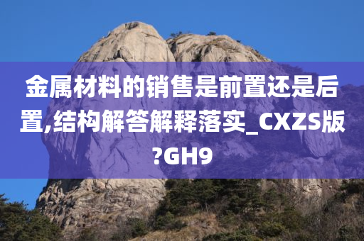 金属材料的销售是前置还是后置,结构解答解释落实_CXZS版?GH9