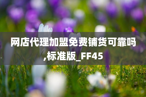 网店代理加盟免费铺货可靠吗,标准版_FF45