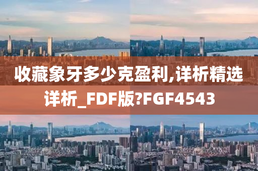 收藏象牙多少克盈利,详析精选详析_FDF版?FGF4543