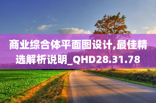 商业综合体平面图设计,最佳精选解析说明_QHD28.31.78