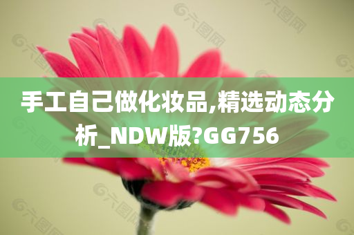 手工自己做化妆品,精选动态分析_NDW版?GG756