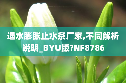 遇水膨胀止水条厂家,不同解析说明_BYU版?NF8786