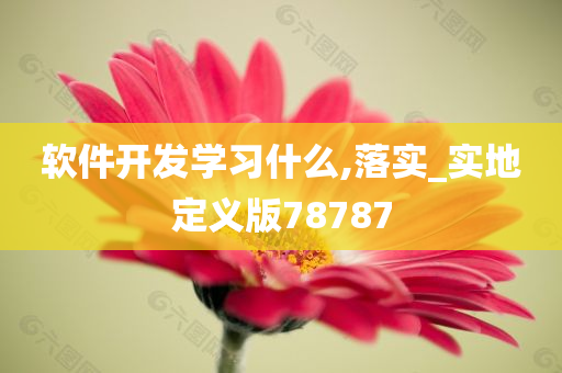 软件开发学习什么,落实_实地定义版78787