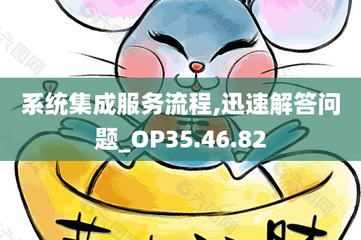 系统集成服务流程,迅速解答问题_OP35.46.82