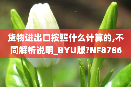 货物进出口按照什么计算的,不同解析说明_BYU版?NF8786