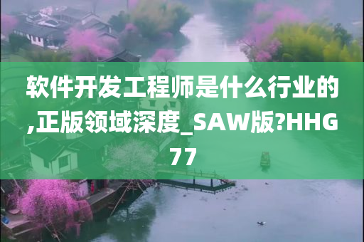 软件开发工程师是什么行业的,正版领域深度_SAW版?HHG77