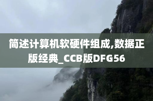 简述计算机软硬件组成,数据正版经典_CCB版DFG56