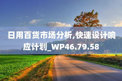 日用百货市场分析,快速设计响应计划_WP46.79.58