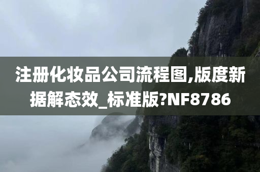 注册化妆品公司流程图,版度新据解态效_标准版?NF8786