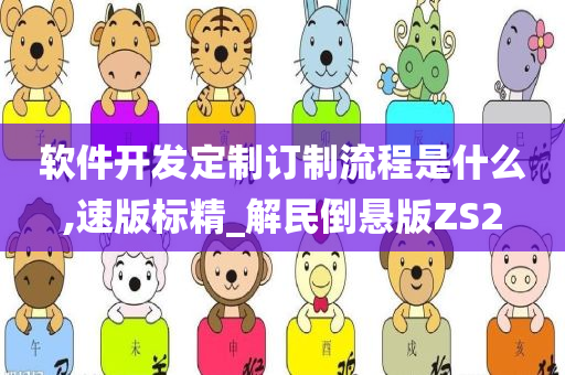 软件开发定制订制流程是什么,速版标精_解民倒悬版ZS2