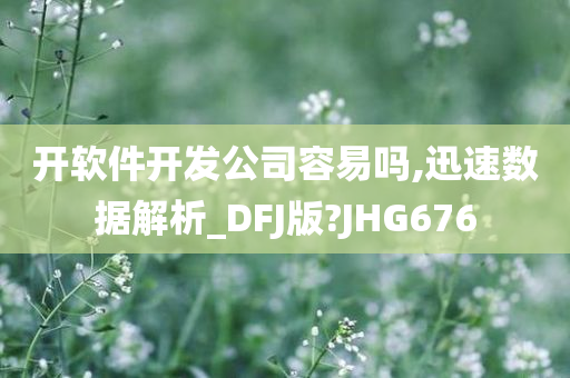 开软件开发公司容易吗,迅速数据解析_DFJ版?JHG676