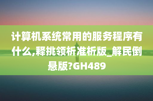 计算机系统常用的服务程序有什么,释挑领析准析版_解民倒悬版?GH489