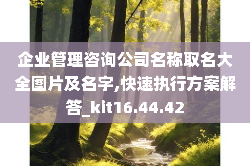 企业管理咨询公司名称取名大全图片及名字,快速执行方案解答_kit16.44.42