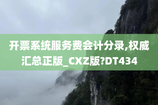 开票系统服务费会计分录,权威汇总正版_CXZ版?DT434