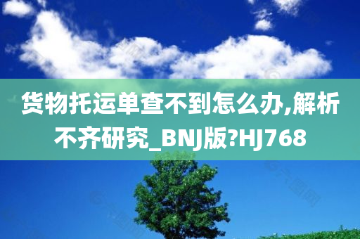 货物托运单查不到怎么办,解析不齐研究_BNJ版?HJ768