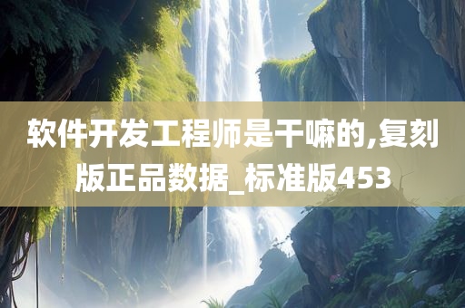 软件开发工程师是干嘛的,复刻版正品数据_标准版453