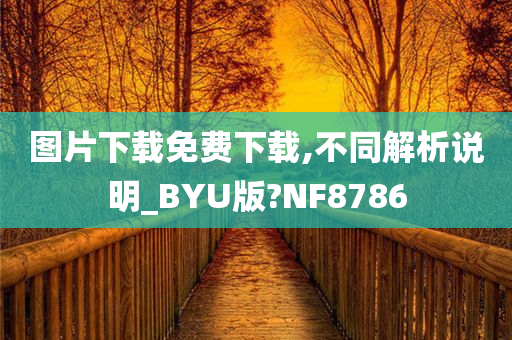 图片下载免费下载,不同解析说明_BYU版?NF8786