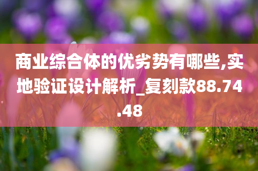 商业综合体的优劣势有哪些,实地验证设计解析_复刻款88.74.48