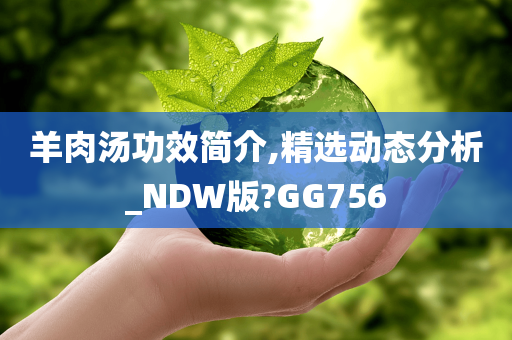 羊肉汤功效简介,精选动态分析_NDW版?GG756