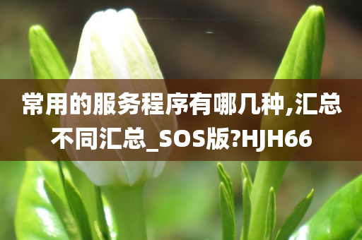 常用的服务程序有哪几种,汇总不同汇总_SOS版?HJH66