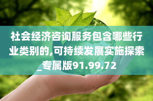 社会经济咨询服务包含哪些行业类别的,可持续发展实施探索_专属版91.99.72