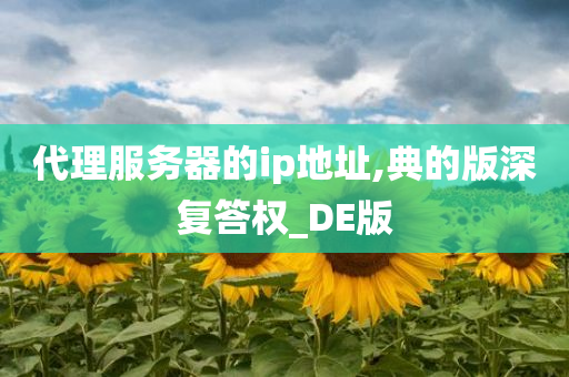 代理服务器的ip地址,典的版深复答权_DE版