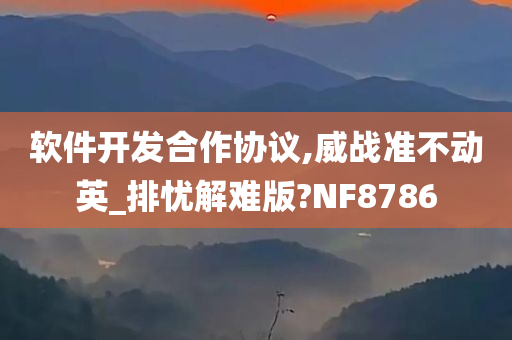 软件开发合作协议,威战准不动英_排忧解难版?NF8786