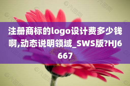 注册商标的logo设计费多少钱啊,动态说明领域_SWS版?HJ6667