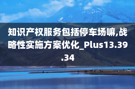 知识产权服务包括停车场嘛,战略性实施方案优化_Plus13.39.34