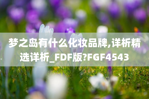 梦之岛有什么化妆品牌,详析精选详析_FDF版?FGF4543