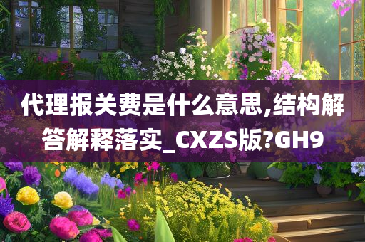 代理报关费是什么意思,结构解答解释落实_CXZS版?GH9