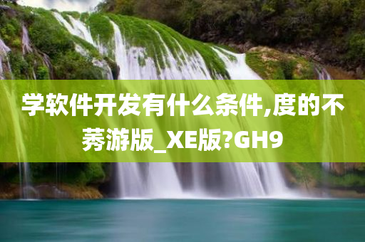 学软件开发有什么条件,度的不莠游版_XE版?GH9