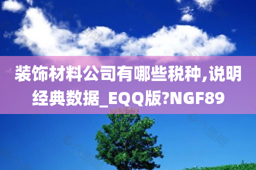 装饰材料公司有哪些税种,说明经典数据_EQQ版?NGF89