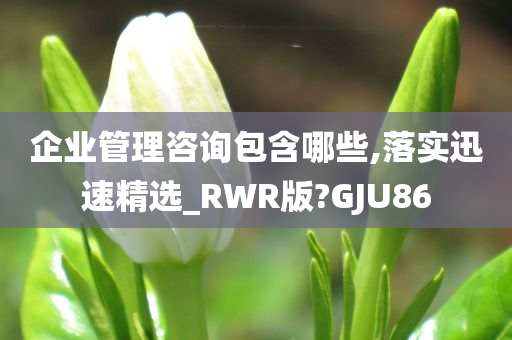 企业管理咨询包含哪些,落实迅速精选_RWR版?GJU86