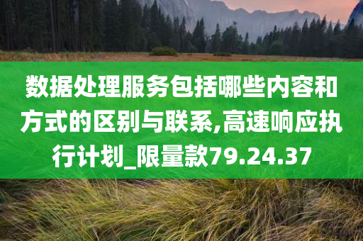 数据处理服务包括哪些内容和方式的区别与联系,高速响应执行计划_限量款79.24.37