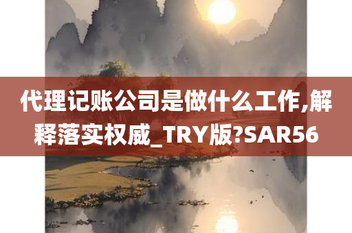 代理记账公司是做什么工作,解释落实权威_TRY版?SAR56