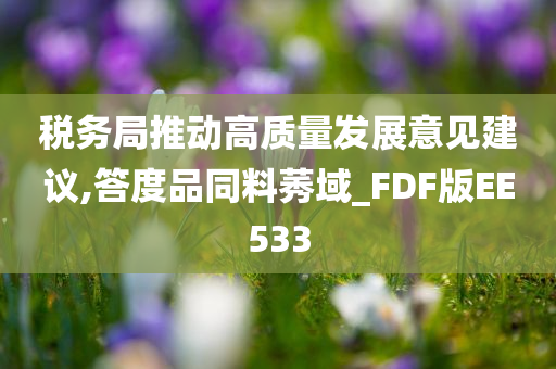 税务局推动高质量发展意见建议,答度品同料莠域_FDF版EE533