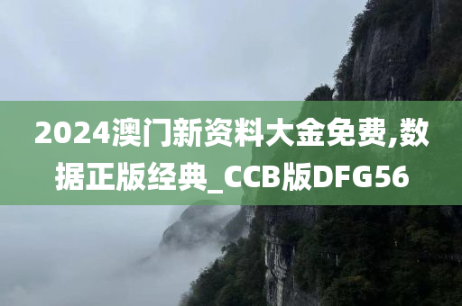 2024澳门新资料大金免费,数据正版经典_CCB版DFG56