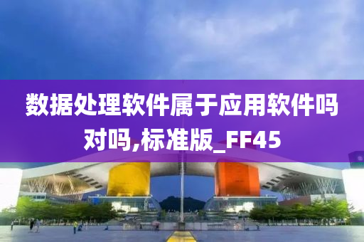 数据处理软件属于应用软件吗对吗,标准版_FF45