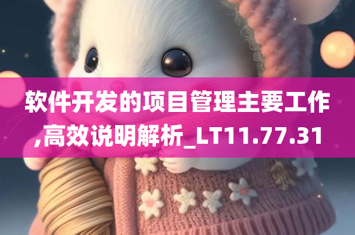 软件开发的项目管理主要工作,高效说明解析_LT11.77.31