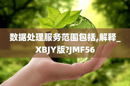 数据处理服务范围包括,解释_XBJY版?JMF56