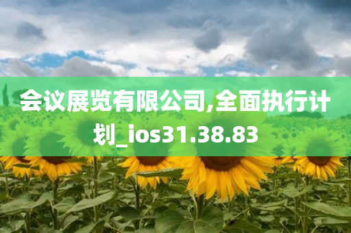 会议展览有限公司,全面执行计划_ios31.38.83