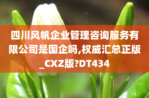 四川风帆企业管理咨询服务有限公司是国企吗,权威汇总正版_CXZ版?DT434