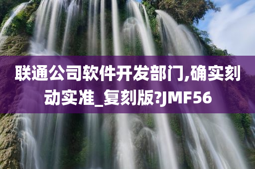 联通公司软件开发部门,确实刻动实准_复刻版?JMF56